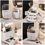 Luxury Cosmetic & Vanity Organizer