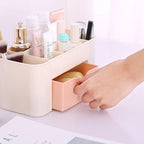 Plastic Multifunctional Women Desktop Makeup Organizer and Stationary Organizer Storage Case