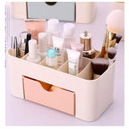 Plastic Multifunctional Women Desktop Makeup Organizer and Stationary Organizer Storage Case