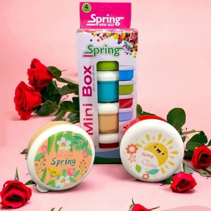 Mini spring box (PACK OF 4 )