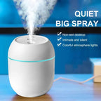 Portable Mini Air Humidifier USB Desktop